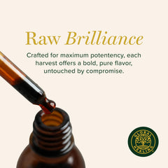Global Healing Center Moringa liquid drops label detail highlights ingredients
