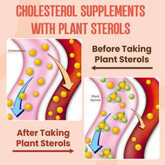 Glorithiventa plant sterols and stanols ingredients label highlight