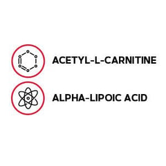 GNC Acetyl-L-Carnitine Alpha-Lipoic Acid caplets closeup shows serving size and ingredients.