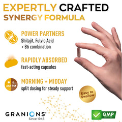 Granions Pure Shilajit ingredient fulvic acid close-up suggests rich mineral blend for wellness