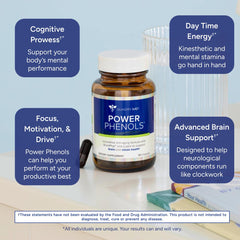 Gundry MD Power Phenols capsules ready for a focused morning.