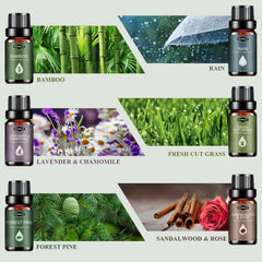 Hanolly bamboo essential oil bottle close-up for refreshing room scent