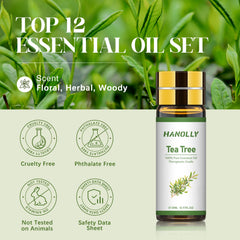 Hanolly premium oil set gift box highlights elegant packaging.