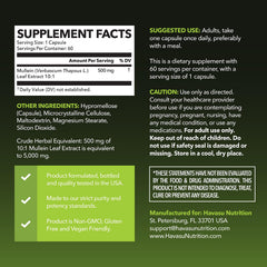 Close-up of HAVASU NUTRITION Mullein Leaf Capsules showing smooth pills