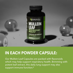 Box and bottle against a neutral background emphasize vegan non-GMO formulation
