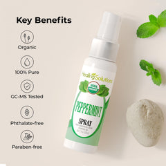 Healing Solutions Organic Peppermint Room Spray creates a vibrant, invigorating atmosphere.