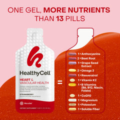 HealthyCell gel packs stored in refrigerator to preserve flavor and freshness.