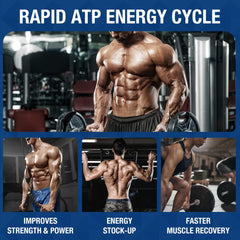 Healtionist label close-up highlights quality and safety messaging