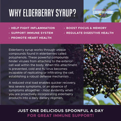 Heartland Organic Elderberry Syrup ingredients-ginger visual emphasizes natural flavor and potency.