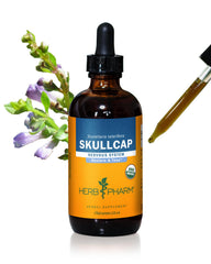 Herb Pharm Skullcap liquid extract bottle shows convenient vial for nervous system support