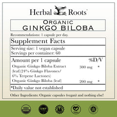 Ginkgo Biloba capsules close-up highlighting vegan formula for focus.
