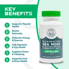 Herbal Vineyards sea moss capsules close-up for easy daily intake.