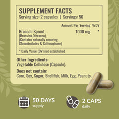 HERBAMAMA Broccoli Sprouts Capsules daily-dose setup for easy on-the-go use
