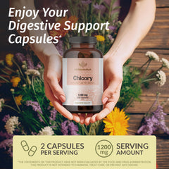 HERBAMAMA Chicory Root Fiber powder close-up highlights inulin-rich texture for gentle digestion.