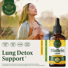 Close-up of ingredients showing mullein leaf, echinacea, licorice for a balanced herbal blend
