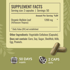 HERBAMAMA Mullein Leaf Capsules close-up label highlighting two-ingredient formula