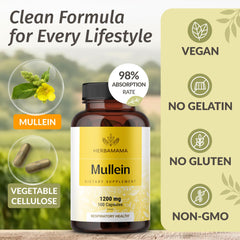 HERBAMAMA Mullein Leaf Capsules packaging flatlay emphasizing vegan non-GMO claim