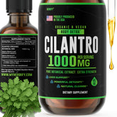 HERBIFY Cilantro Tincture bottle with dropper for easy daily use and antioxidant support