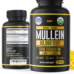 Herbify Mullein Capsules bottle front for lung wellness and daily support