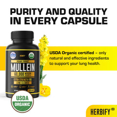 Herbify Mullein Capsules box highlighting organic ingredients and USA production