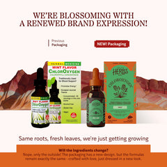 Herbs Etc. ChlorOxygen chlorophyll drops ready to mix in water for quick use