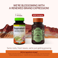 Respiratonic softgels close-up by Herbs Etc. for convenient daily use.