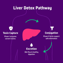 Herbtonics 20-in-1 liver blend label showcases comprehensive ingredients.