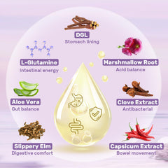 Hesperilyntis Liposomal DGL Licorice ingredients showcase the herbal blend for digestive support.