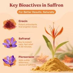 Hesperilyntis saffron ingredients blend showcases botanicals like ashwagandha and chamomile.