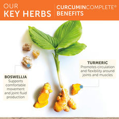 Himalaya Curcumin Complete bottle back listing ingredients for joint support