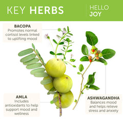 Himalaya Hello Joy label emphasizes vegan and gluten-free attributes.