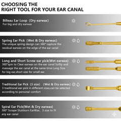 Hion double-headed ear pick in use for versatile cleaning.