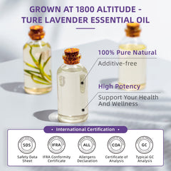 Close-up of HIQILI lavender oil bottle highlighting purity and aroma.