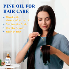 HIQILI pine forest scent enriches living spaces with a natural vibe.