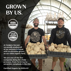 Hodgins Harvest dual-extraction process highlights potent compounds for brain health.