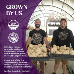 Hodgins Harvest organic turkey tail farm scene highlighting farm-made quality.