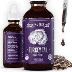 Hodgins Harvest turkey tail tincture bottle with deep color for antioxidant-rich wellness.