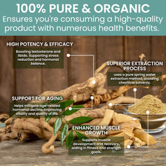 Holistic Bin Tongkat Ali powder dissolves easily in smoothies and tea.