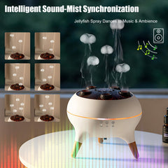 Holwim diffuser remote control for easy mode and light adjustments from anywhere
