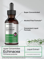 Horbaach Echinacea Drops amber tincture in glass bottle ready to take.