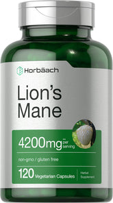 Horbäach Lions Mane extract bottle for daily focus