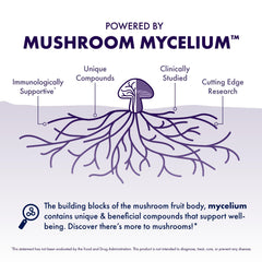 Host Defense Brain & Body Powder Reishi logo highlighting calming, balanced energy.