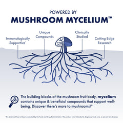 Host Defense MycoBotanicals Immune Powder blends into a smoothie for tasty daily immune support.
