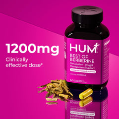 hum berberine bottle with label emphasizes 1200 mg dose for consistency