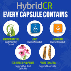 HybridCR capsules close-up ready for everyday immuno support.