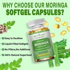 HZZYPLANT Moringa 10:1 extract ingredient blend label on bottle