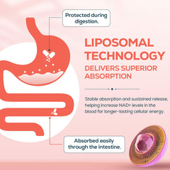 IcarusIvy berberine HCL capsule emphasizes metabolic awareness.