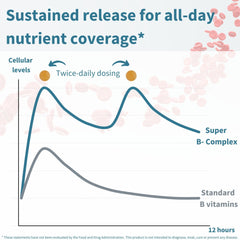 Igennus Super B-Complex tablet shown for twice-daily dosing.