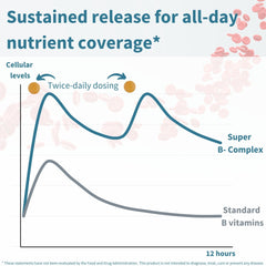 Igennus Super B-Complex sustained-release technology illustration.