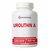 Immortal Herbs Urolithin A+ capsule close-up for daily wellness routine.